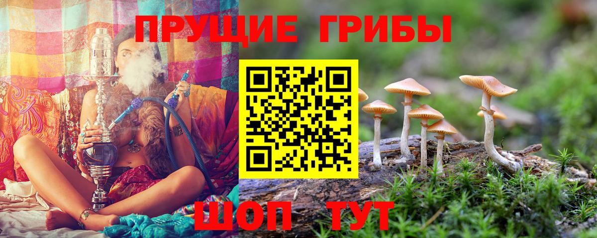 Галлюциногенные грибы Magic Shrooms Улан-Удэ