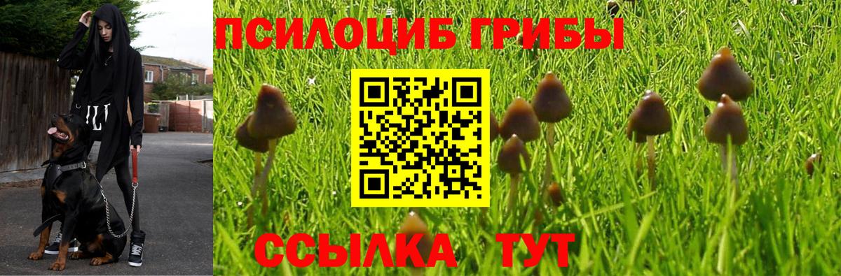 Галлюциногенные грибы мицелий  Галлюциногенные грибы Psilocybe  наркота  Вход с VPN  Улан-Удэ 